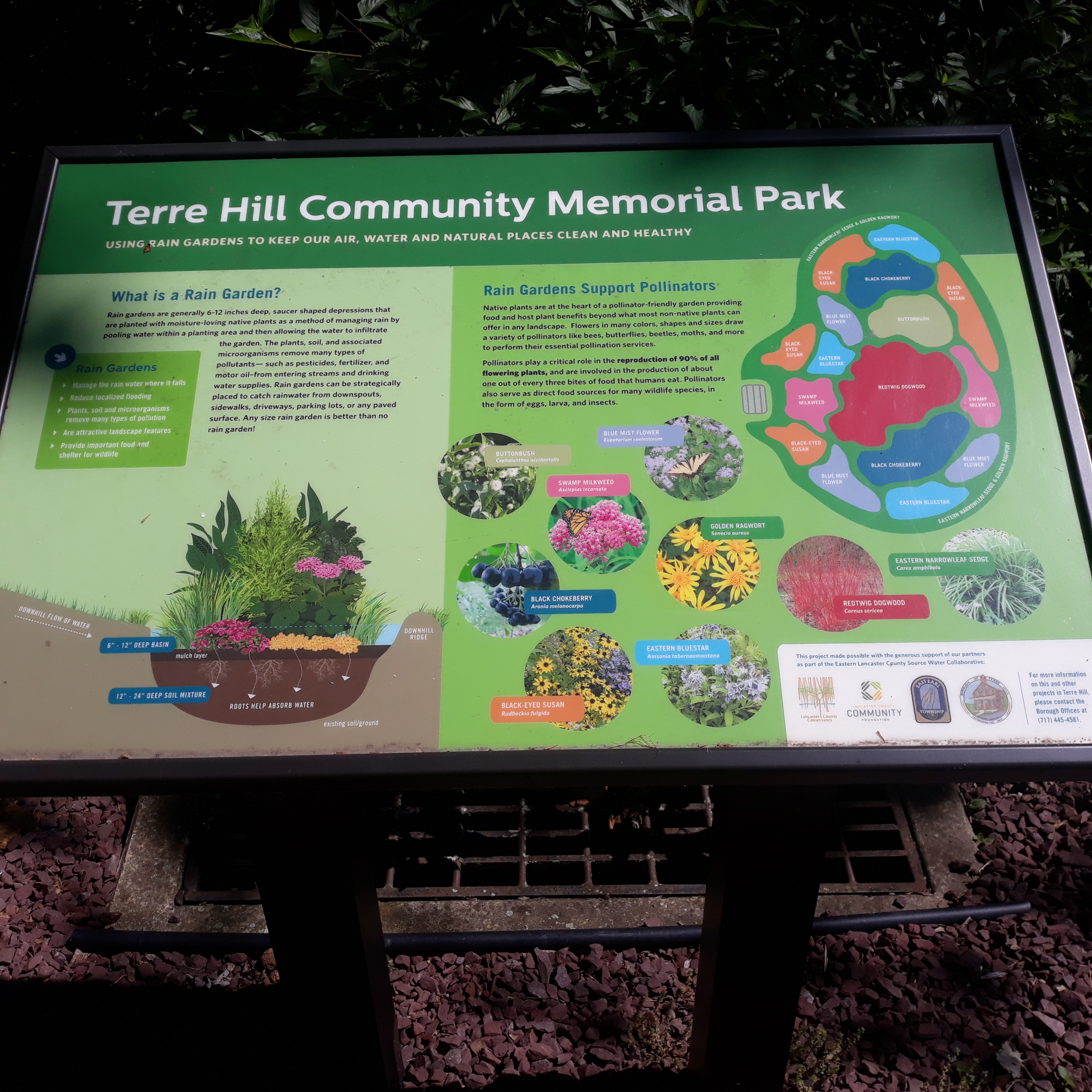 Sign explaining rain garden