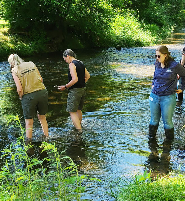 In stream monitoring